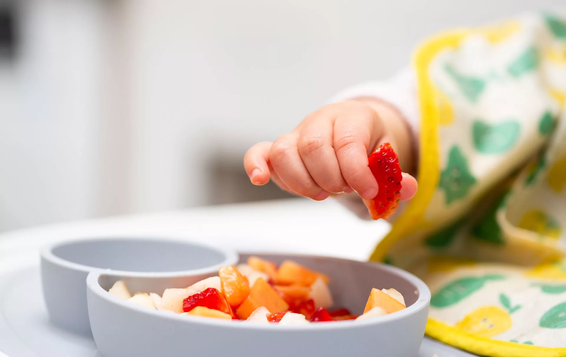 ernährung kindertagespflege löwentatzen